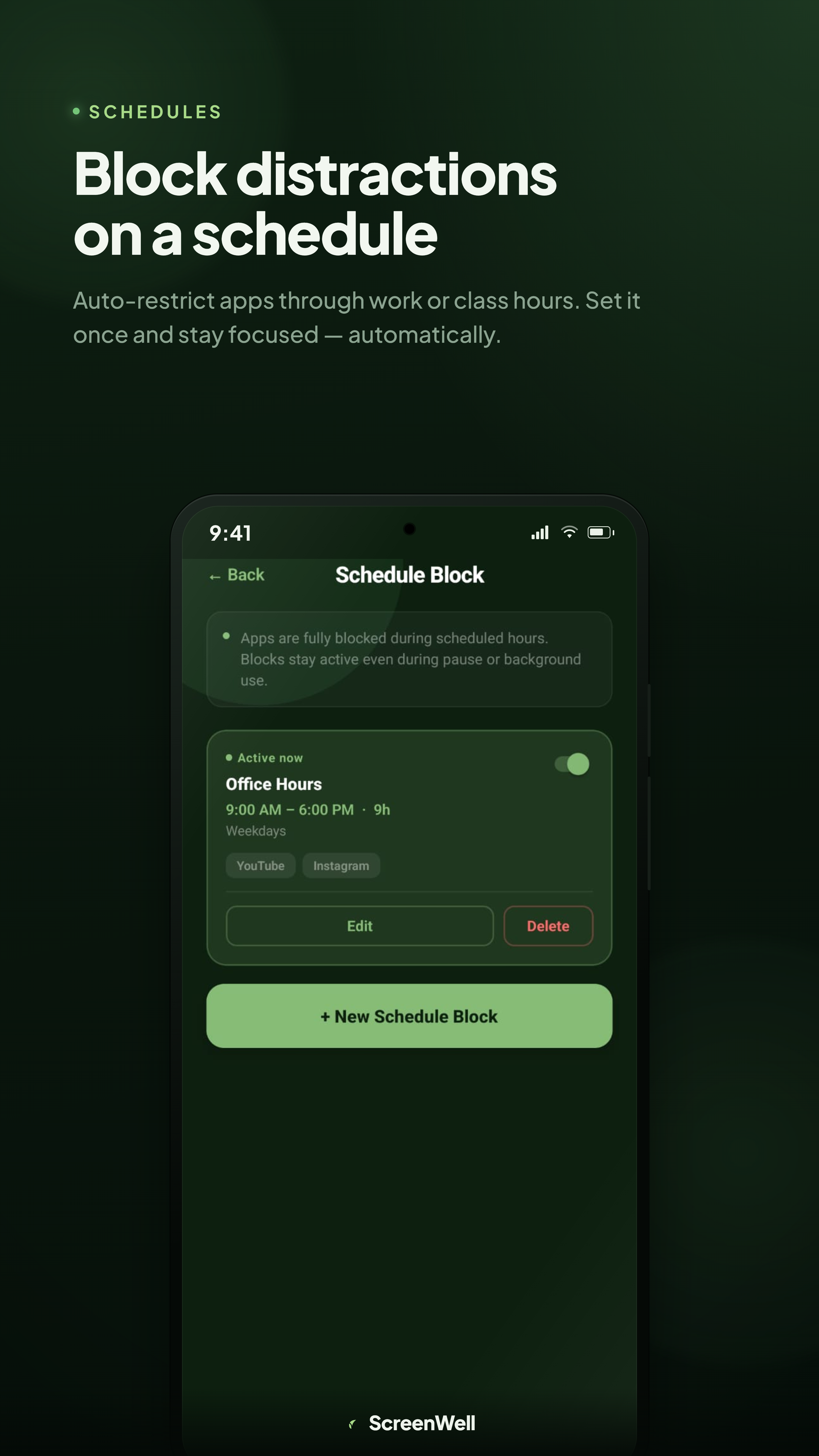 Block distractions on a schedule
